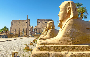 Row of Shinxes in the Temple of Luxor