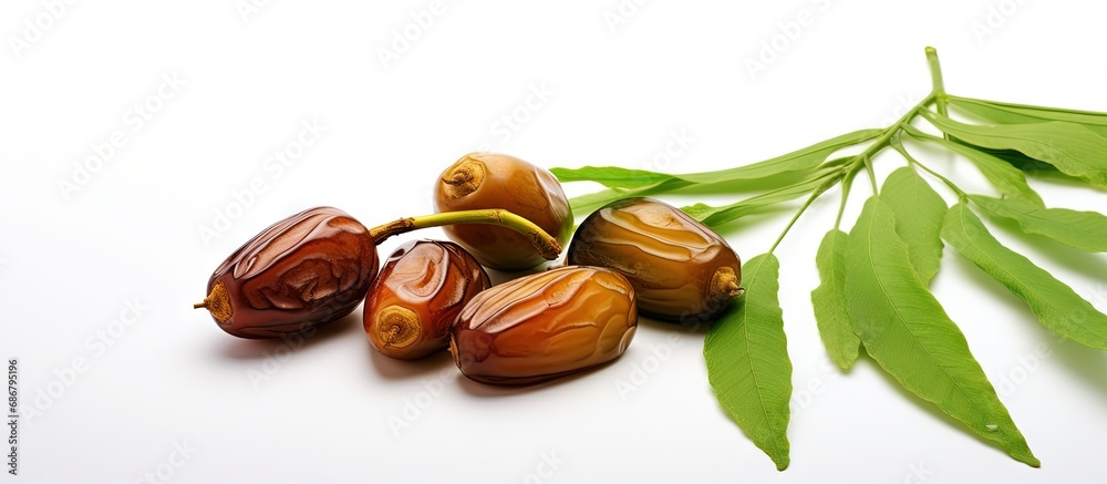 Poster Ramadan symbolized by dates fruit with olive leaves on white background Copy space image Place for adding text or design