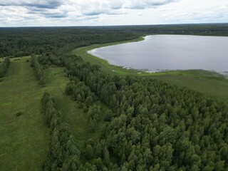 forest landscape with lake - aerial shot