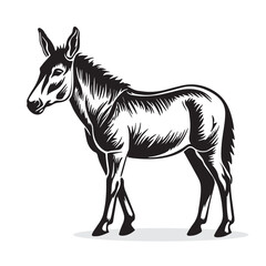 Donkey silhouettes and icons. black flat color simple elegant Donkey animal vector and illustration.