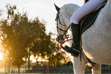 Low section of teenage girl riding white horse at ranch during sunset
