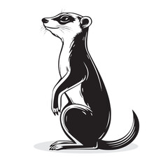 Meerkat silhouettes and icons. black flat color simple elegant Meerkat animal vector and illustration.