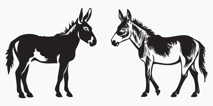 Mule silhouettes and icons. black flat color simple elegant Mule animal vector and illustration.
