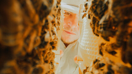 Extreme close-up video in beehive between honeycombs. Lots of bees making honey. Beekeeper...