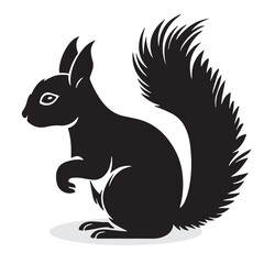 Squirrel silhouettes and icons. black flat color simple elegant Squirrel animal vector and illustration.