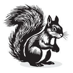 Squirrel silhouettes and icons. black flat color simple elegant Squirrel animal vector and illustration.
