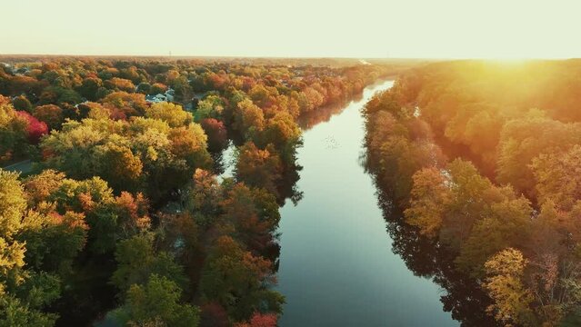 Autumn foliage aerial view
