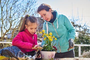 Mother and daughter planting flowers together on balcony