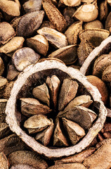 Brazil nuts, also known as Brazil nuts, natural nuts from northern Brazil,