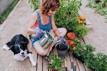 Woman watering plant while sitting with border collie at vegetable garden