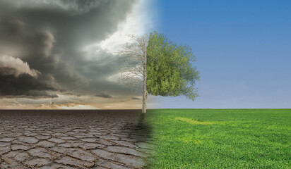 Climate change, landscape with dry earth, Meadow and oak tree. Global warming save the planet.