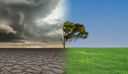Climate change, landscape with dry earth, Meadow and oak tree. Global warming save the planet. - obrazy, fototapety, plakaty