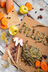 muesli word collecting from real horse muesli and granules for sportive horses.  feeding and horse care concept.