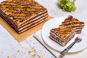 Chocolate nut cake on a light background. Pieces of cake on a white plate