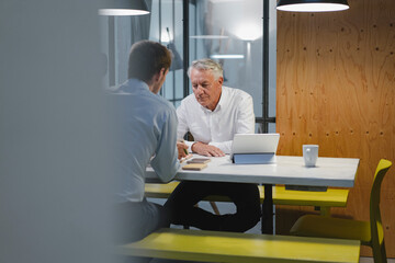 Two businessmen sitting in office, working together