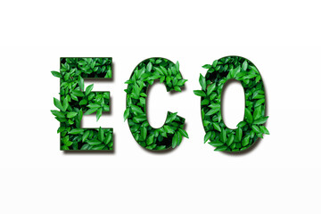 Lettering ECO, ESG, EARTH green grass texture isolated on white background. Word ECO, ESG, EARTH. Concept eco-friendly.