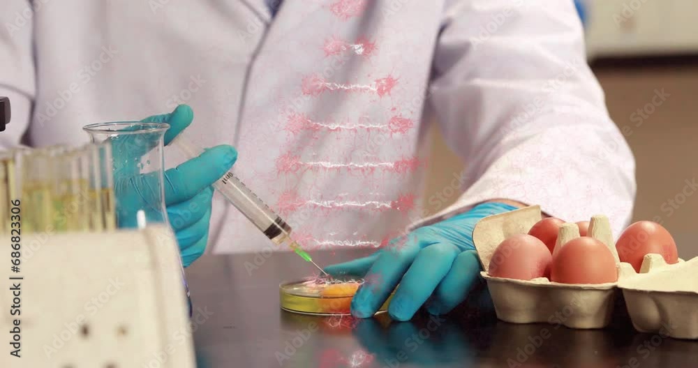 Poster animation of dna strand rotating over midsection of scientist testing egg