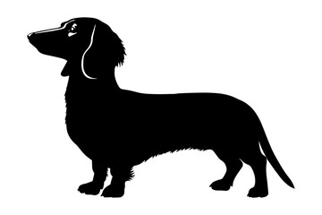 Dachshund Dog silhouette. Vector illustration