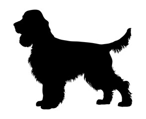 Standing Cocker spaniel Dog silhouette. Vector illustration - obrazy, fototapety, plakaty