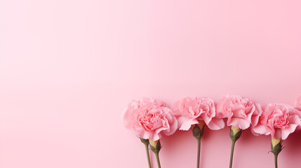 Obraz na płótnie Canvas A neat row of pink carnations on a soft pink background, creating a romantic vibe, Valentine’s Day, delicate flowers, top view, with copy space