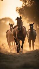 Horses galloping across a field at sunset, a majestic scene of freedom, strength, and the beauty of nature in motion. The image captures the essence of wild grace and the untamed spirit.
