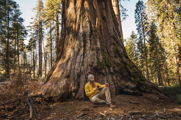 USA, California, Yosemite National Park, Mariposa, man sitting at sequoia tree with cell phone and...