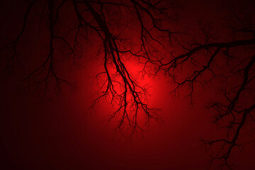 Leafless Oak tree branches silhouette black and red. Oak tree branches silhouette on a red background. Silhouettes of a dark gloomy forest with textured trees. Gothic background. 