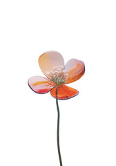 semplice fiore in vetro colorato su sfondo trapsarente