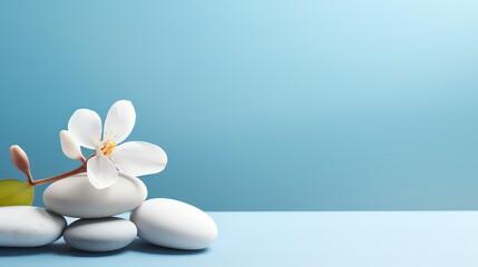 a white flower on a stack of rocks