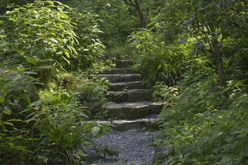 Ancient Stairway, Japan