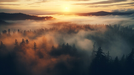 Fototapeta premium This photo was taken from a high angle in a misty forest. Sunlight rose in the misty sky. The photos show the tranquility and beauty of nature in a misty atmosphere. We could see lights radiating.