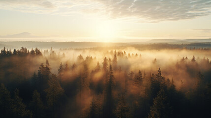Fototapeta premium This photo was taken from a high angle in a misty forest. Sunlight rose in the misty sky. The photos show the tranquility and beauty of nature in a misty atmosphere. We could see lights radiating.