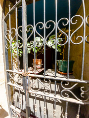Potted flowers behind an iron grate in an old house