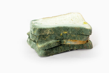 Fungal bread isolated on white background. Biodegradable food waste concept.