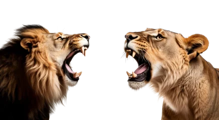 Foto op Plexiglas Predators of the Savannah: Set of Angry Lion and Aggressive Lioness, Isolated on Transparent Background, PNG © Only Best PNG's