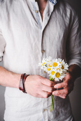 Bouquet of Freshly Picked Daisy Flowers in Male Hands