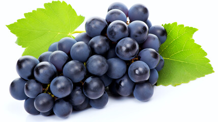 Fototapeta premium Bunch of ripe dark blue grapes isolated on white background.