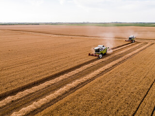 Serbia, Vojvodina. Combine harvester on a field of wheat, aerial view