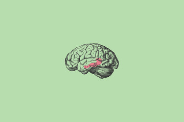 Hippocampus. Short-term Memory Storage, Learning, Emotion Concept Image. Human Brain Illustration.Minimalist Aesthetics. - obrazy, fototapety, plakaty