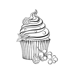 Cupcake with berries cream and mint leaves. Vector illustration. Grapgic style. hand drawn in a simple minimalist style. Can be used for kitchen, notes, cookbook, textile.