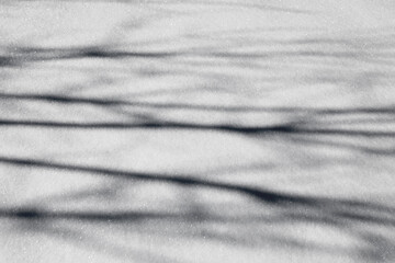 Snow and shadows. Abstract texture background snow surface the snow. Snow on white background. Christmas background. Shadows from branches. White background closeup