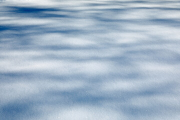 Obraz premium Snow and shadows. Abstract texture background snow surface the snow. Snow on white background. Christmas background. Shadows from branches. White background closeup
