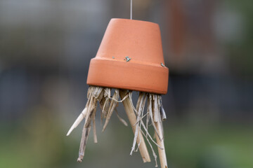 A small clay flower pot hangs from a rope with the opening facing downwards. Straws are stuck into the opening. Insects can use the small arrangement.