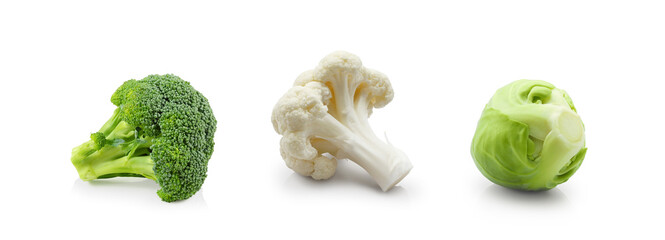 Green broccoli, cauliflower piece and brussels sprout isolated set on white background 