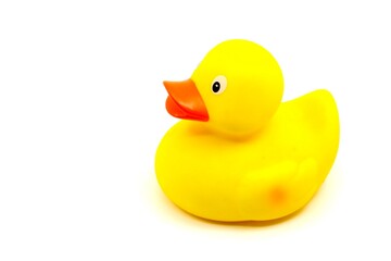 Yellow rubber ducky toy