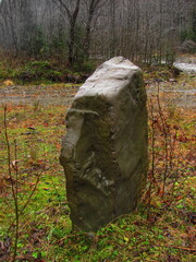 A large stone in the forest near a stream