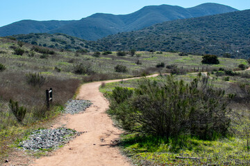 Fototapeta na wymiar Outdoor hiking trail through lush green California mountains under the clear blue sky