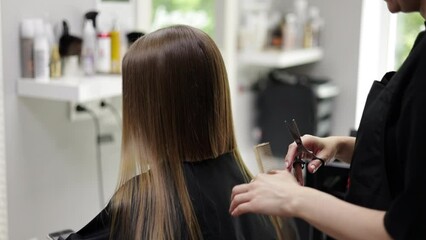 Unrecognisable hairdresser cutting female client hair with professional barber scissors and comb and making stylish haircut short bob hairstyle in beauty salon. Hair care, hair salon and hairstyling.