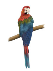 Ara Guacamaya © Alexander