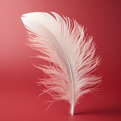 a white feather on a red background